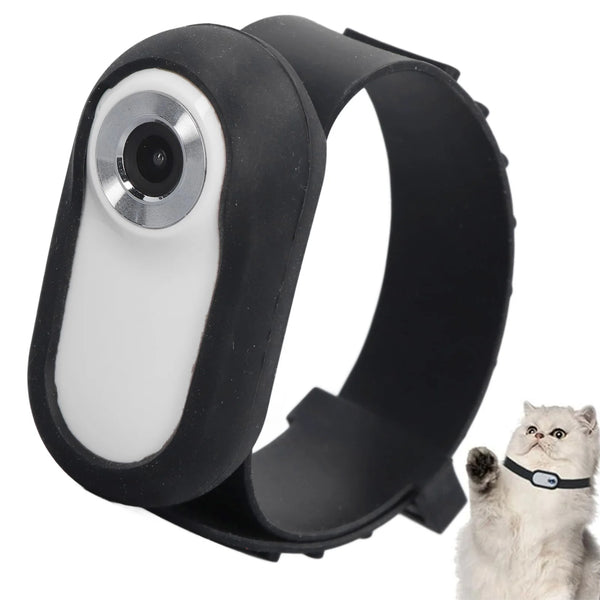 Biometric Monitor Collar
