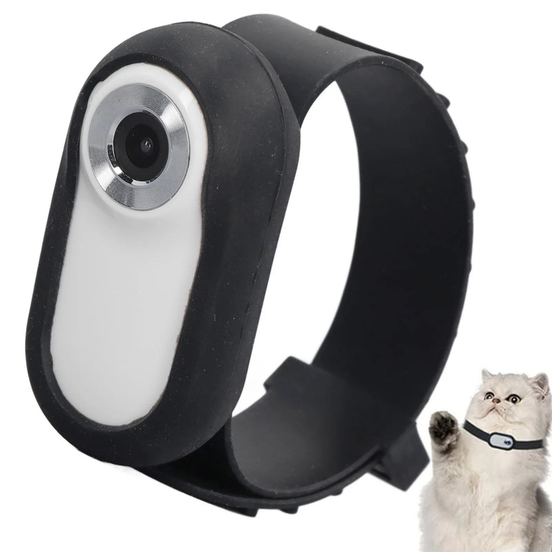 Biometric Monitor Collar